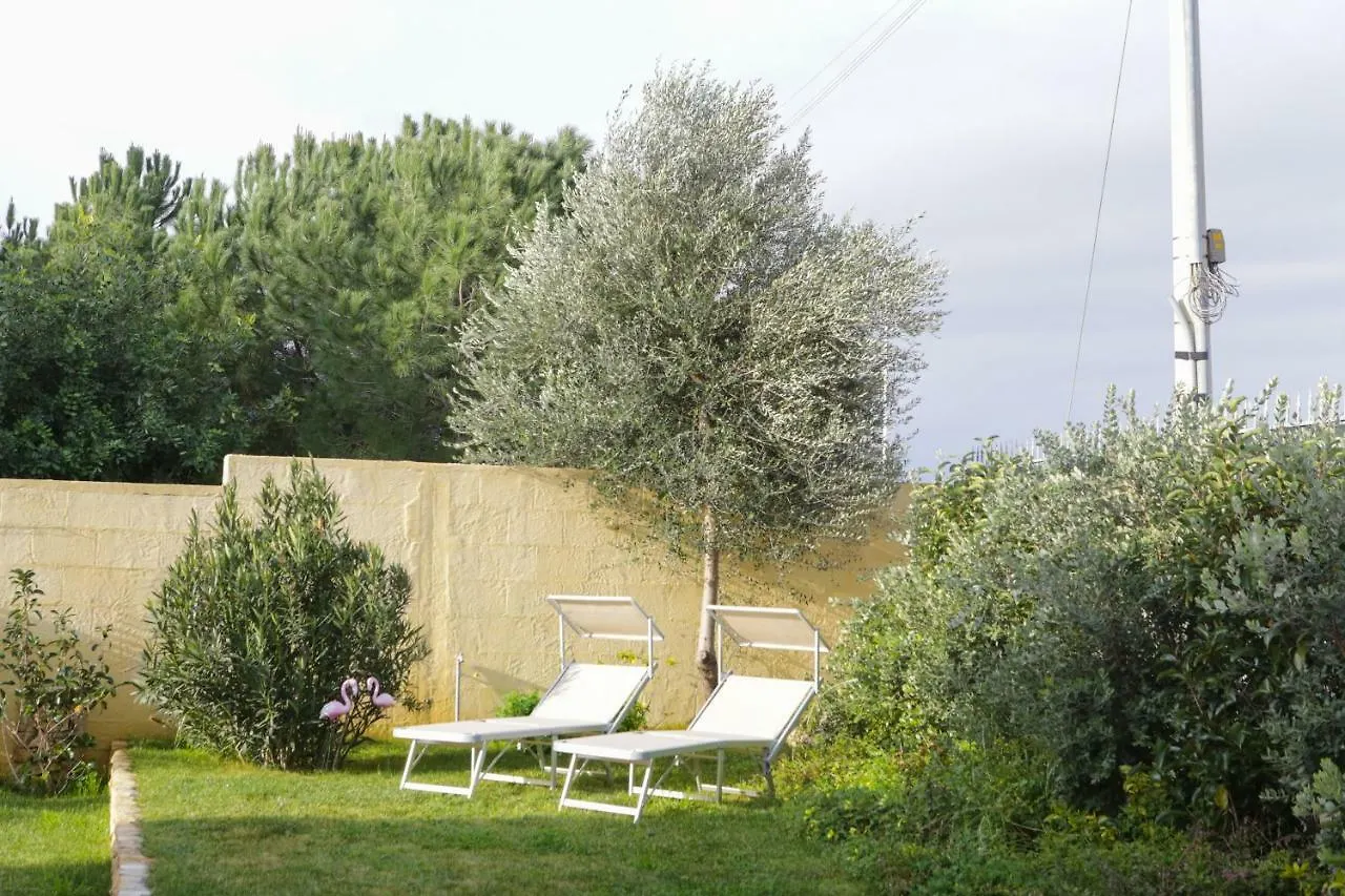 Avion B&B Elmas